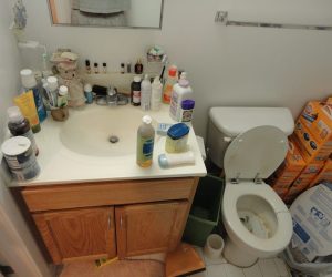 Bathroom with a cluttered sink, various toiletries, a toilet, and stacked boxes of cat litter on the floor.