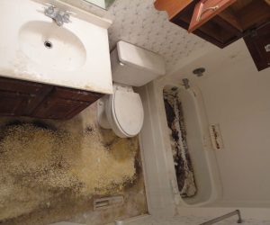 Bathroom with severe mold and grime on the floor, sink, and bathtub, showing extensive neglect and damage.