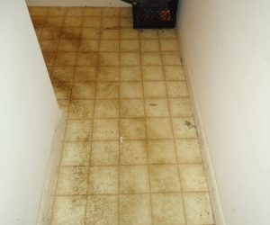 Small room with stained, discolored linoleum floor and an old printer on top of a black crate in the corner.