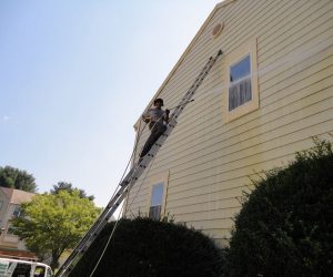Person on a ladder power washing the exterior siding of a beige house next to green bushes.